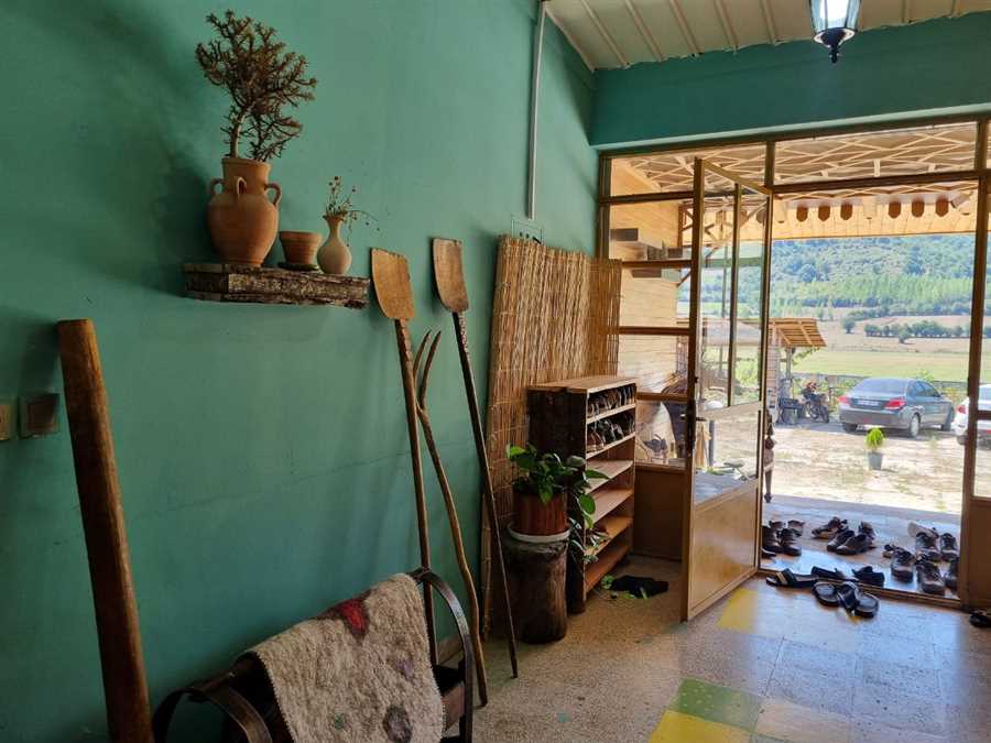 من زنی را دیدم که آرزو چید