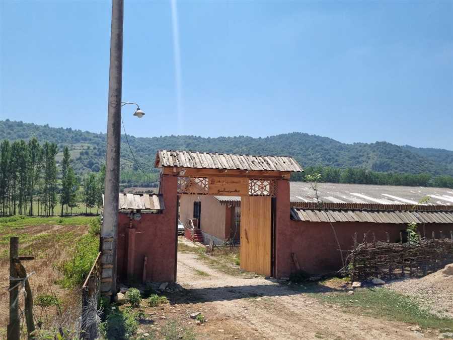 من زنی را دیدم که آرزو چید