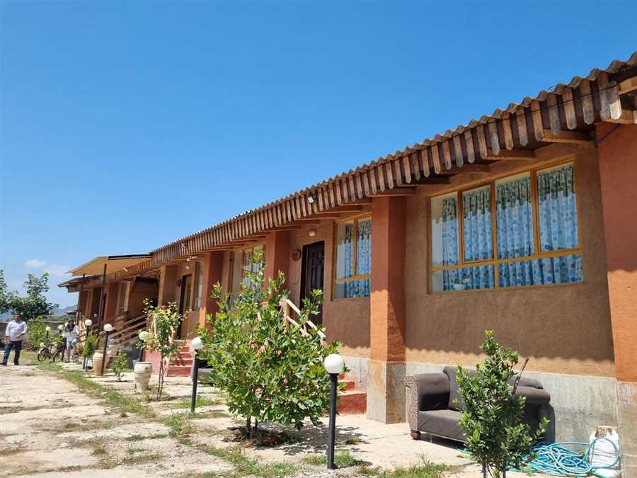 من زنی را دیدم که آرزو چید