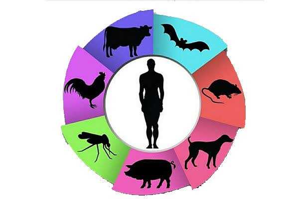 کنترل بیماری‌های مشترک انسان و حیوان در مازندران