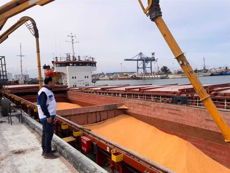 ترخیص نهاده های دامی روی دور تند