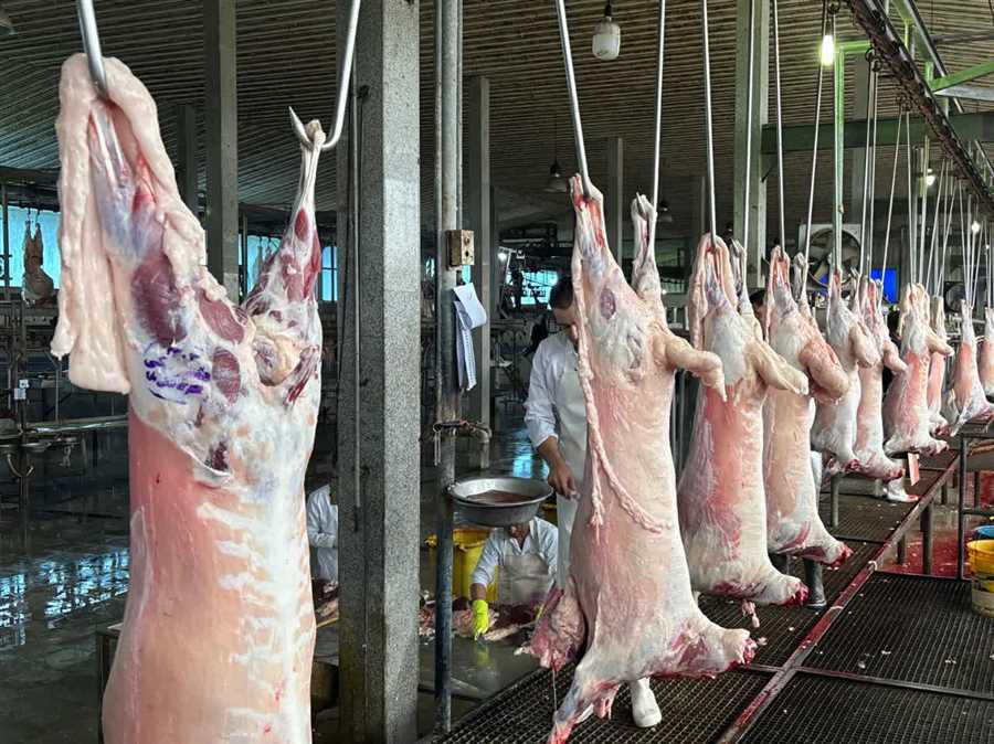 برخورد قاطع با متخلفین دامپزشکی