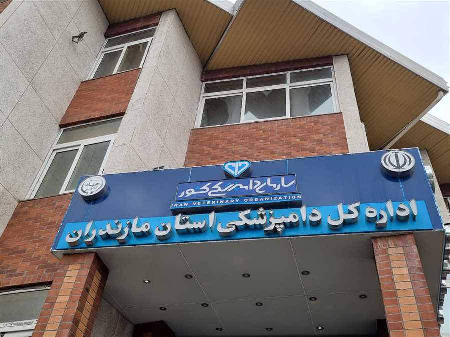 توصیه‌های بهداشتی عید قربان + موشن‌گرافی