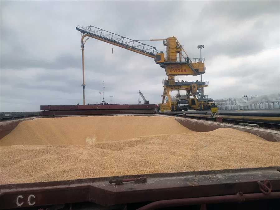 مازندران 25 درصد جو و ذرت کشور را تأمین می‌کند