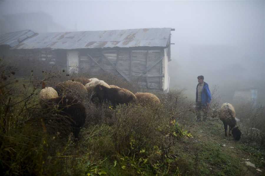 توصیه دامپزشکی مازندران در پی هشدارهای هواشناسی