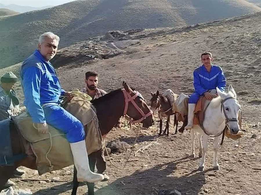 برگزاری رزمایش جهاددامپزشکی در ۴ روستای بلده نور