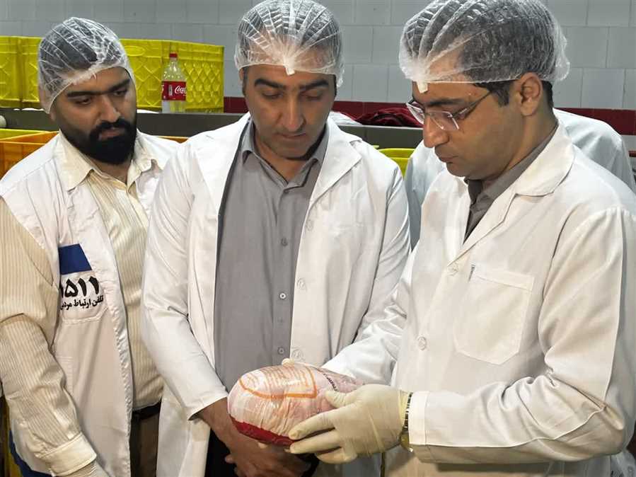 ۲۷۱ متخلف بهداشتی فراورده‌های گوشتی نقره‌داغ شدند