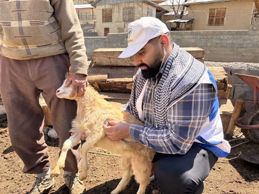 برگزاری رزمایش جهاد دامپزشکی در ۴ روستای آمل