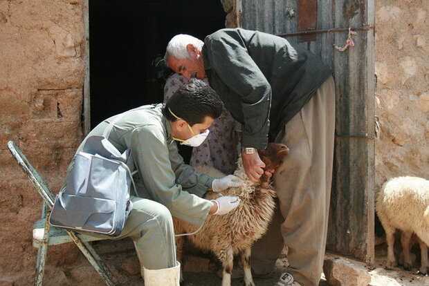دامپزشکی مازندران، مقابله با ناترازی انرژی را کلید زد