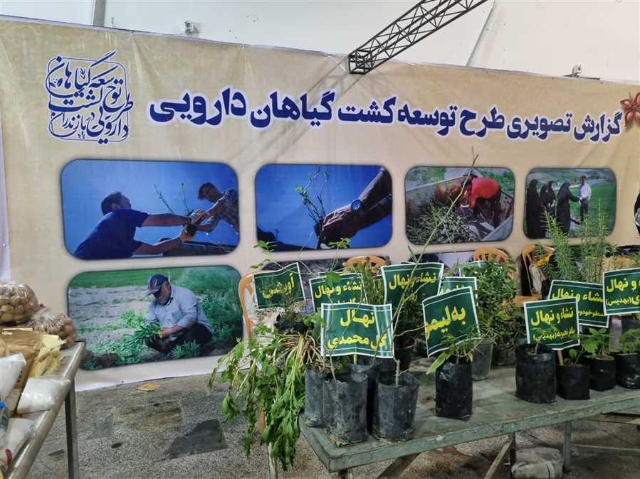 "روستاآباد" از خودکفایی تا امید