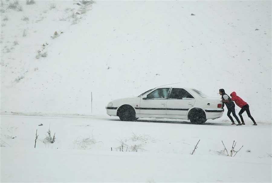 کوهستان نروید