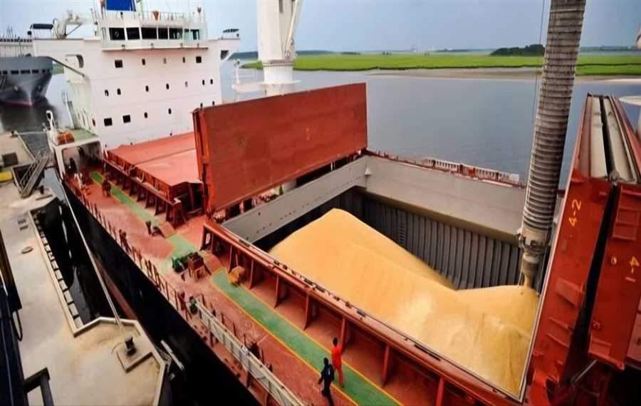 سومین کشتی گندم در مازندران پهلو گرفت