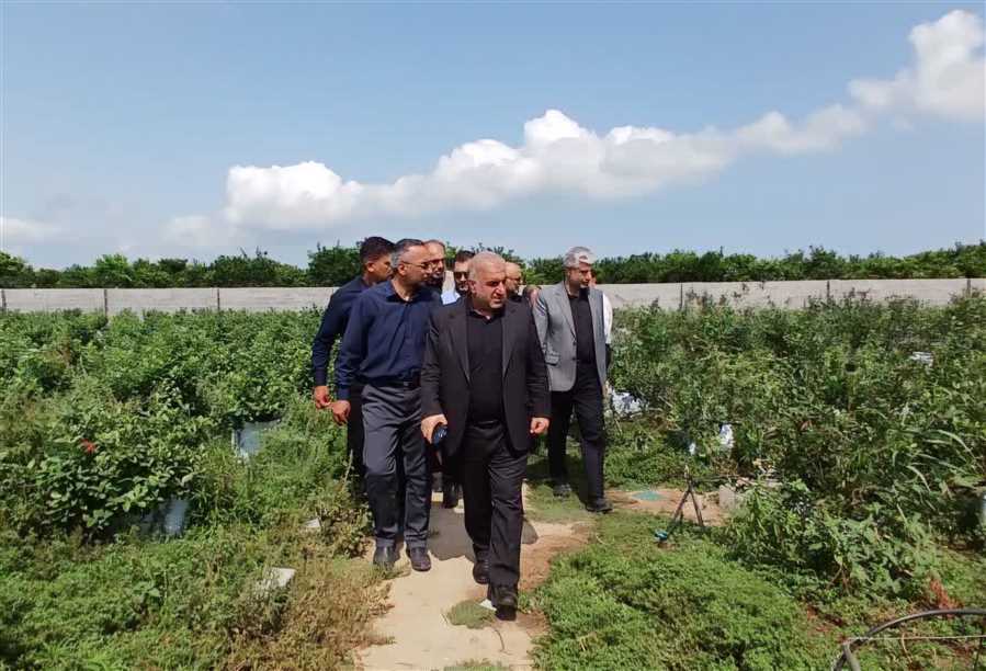 "رودپی" زیر ذره‌بین فرماندار ساری