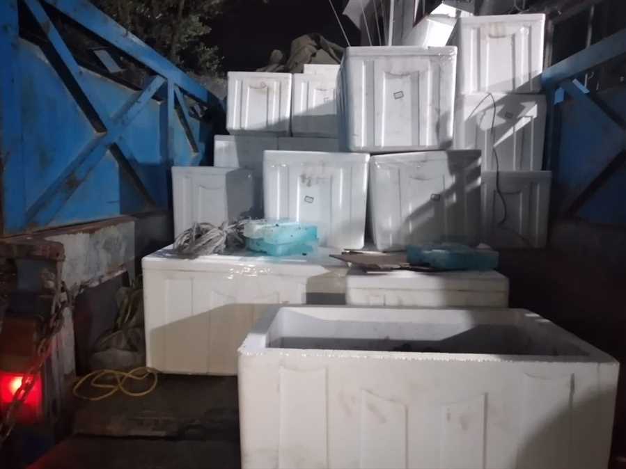 انهدام باند قاچاقچیان حرفه‌ای قارچ ترافل در نکا