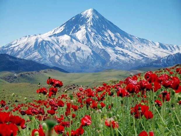 مازندران از رئیس‌جمهور چهاردهم چه می‌خواهد؟ 