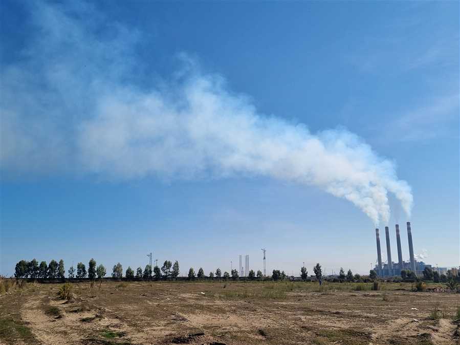 مازوت در محکمه