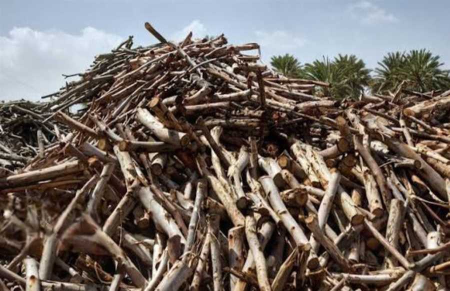 کشف چوب قاچاق در کارخانه